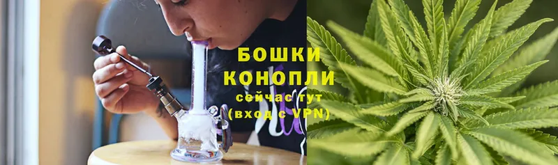 Бошки Шишки Bruce Banner  Ялуторовск 